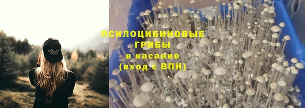 jwh Алзамай
