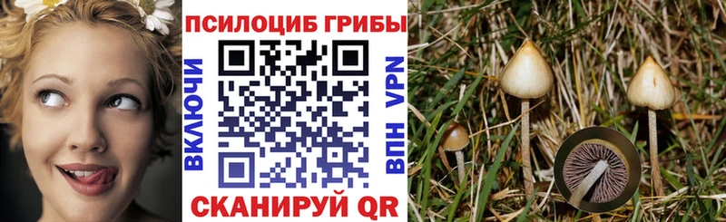 наркошоп  Сенгилей  Псилоцибиновые грибы мицелий 